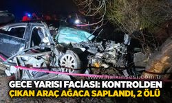 Gece yarısı faciası: Kontrolden çıkan araç ağaca saplandı, 2 ölü