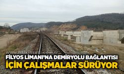 Filyos Limanı’na demiryolu bağlantısı için çalışmalar sürüyor