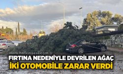 Fırtına nedeniyle devrilen ağaç iki otomobile zarar verdi