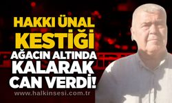 Hakkı Ünal kestiği ağacın altında kalarak can verdi!