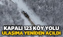 Kapalı 123 köy yolu ulaşıma açıldı
