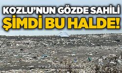 Kozlu'nun gözde sahili şimdi bu halde!