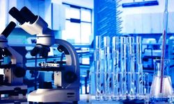 Laboratuvar hizmeti alınacak