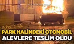 Park halindeki otomobil alev alev yandı!