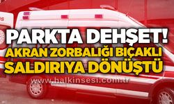 Parkta dehşet! Akran zorbalığı bıçaklı saldırıya dönüştü