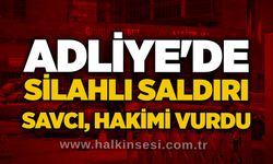 Adliye'de silahlı saldırı: Savcı, hakimi vurdu