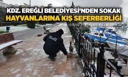 Kdz. Ereğli Belediyesi’nden Sokak Hayvanlarına Kış Seferberliği