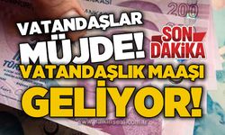 Vatandaşlar müjde: Vatandaşlık maaşı geliyor!