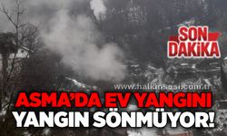 Asma’da ev yangını: Yangın sönmüyor!