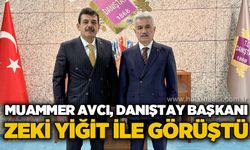 Muammer Avcı Danıştay Başkanı Zeki Yiğit ile görüştü