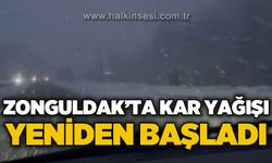 Zonguldak'ta kar yağışı yeniden başladı