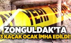 Zonguldak'ta 3 kaçak ocak imha edildi