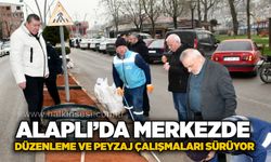 Alaplı’da merkezde düzenleme ve peyzaj çalışmaları sürüyor