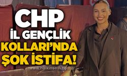 CHP Zonguldak Gençlik Kolları'nda şok istifa