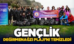 Gençlik, Değirmenağzı Plajı'nı temizledi