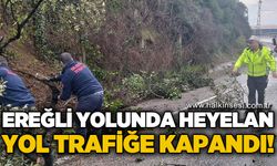 Ereğli yolunda heyelan: Yol trafiğe kapandı