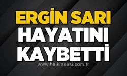 Ergin Sarı hayatını kaybetti