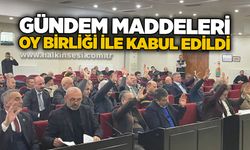 Gündem maddeleri oy birliği ile kabul edildi