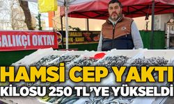 Hamsi cep yaktı: Kilosu 250 liraya yükseldi