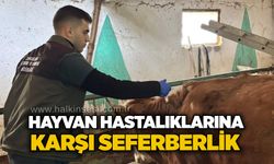 Hayvan hastalıklarına karşı seferberlik