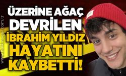 Üzerine ağaç devrilen İbrahim Yıldız hayatını kaybetti