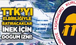 TTK’yı elbirliğiyle batıracaklar:İnek için doğum izni!!!