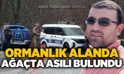 Ormanlık alanda ağaçta asılı halde bulundu!
