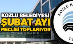 Kozlu Belediyesi Şubat Ayı Meclisi toplanıyor