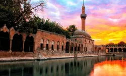 Türkiye'nin Tahıl Ambarı Ceylanpınar'da Hasat Heyecanı Başladı