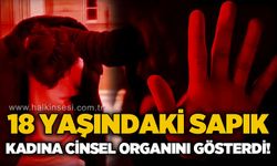 18 yaşındaki sapık, kadına c*nsel organını gösterdi: Tutuklandı