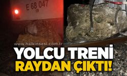 Yolcu treni raydan çıktı!