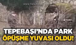 Tepebaşı'nda park öpüşme yuvası oldu!