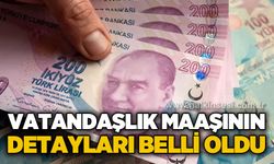 Vatandaşlık Maaşı'nın detayları belli oldu