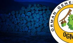 Orman çalışmalarının takibi ve kontrolü hizmeti alınacak