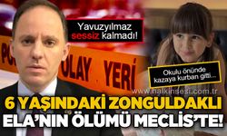 Deniz Yavuzyılmaz 6 yaşındaki Zonguldaklı Ela'nın ölümünü meclise taşıdı!
