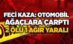 Feci kaza: Otomobil ağaçlara çarptı, 2 ölü 1 ağır yaralı