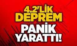 4.2'lik deprem panik yarattı!
