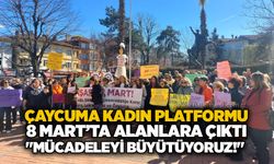 Çaycuma Kadın Platformu 8 Mart’ta alanlara çıktı: "Mücadeleyi büyütüyoruz!"