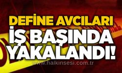 Define avcıları iş başında yakalandı!
