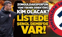 Zonguldakspor’un yeni teknik direktörü kim olacak… Listede Şenol Demir’de var!