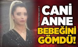Cani anne bebeğini toprağa gömdü!