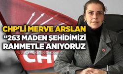 CHP'li Merve Arslan: “263 maden şehidimizi rahmetle anıyoruz...