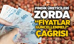 Fındık üreticileri zorda: “Fiyatlar güncellenmeli” çağrısı