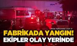 Raf imalatı yapılan fabrika alev alev yandı: Ekipler olay yerinde