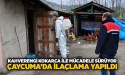 Kahverengi kokarca ile mücadele sürüyor: Çaycuma’da ilaçlama yapıldı