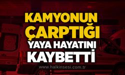 Kamyonun çarptığı yaya hayatını kaybetti