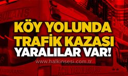 Köy yolunda trafik kazası: Yaralılar var!
