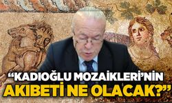 CHP’li Hamdi Akyüz İl Genel Meclisi'nde sordu: Kadıoğlu Mozaikleri'nin akıbeti ne olacak?