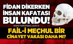 Fidan dikerken insan kafatası buldu: Fail-i meçhul bir c*nayet vakası daha mı?