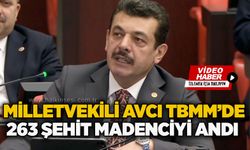Milletvekili Avcı TBMM’de 263 şehit madenciyi andı